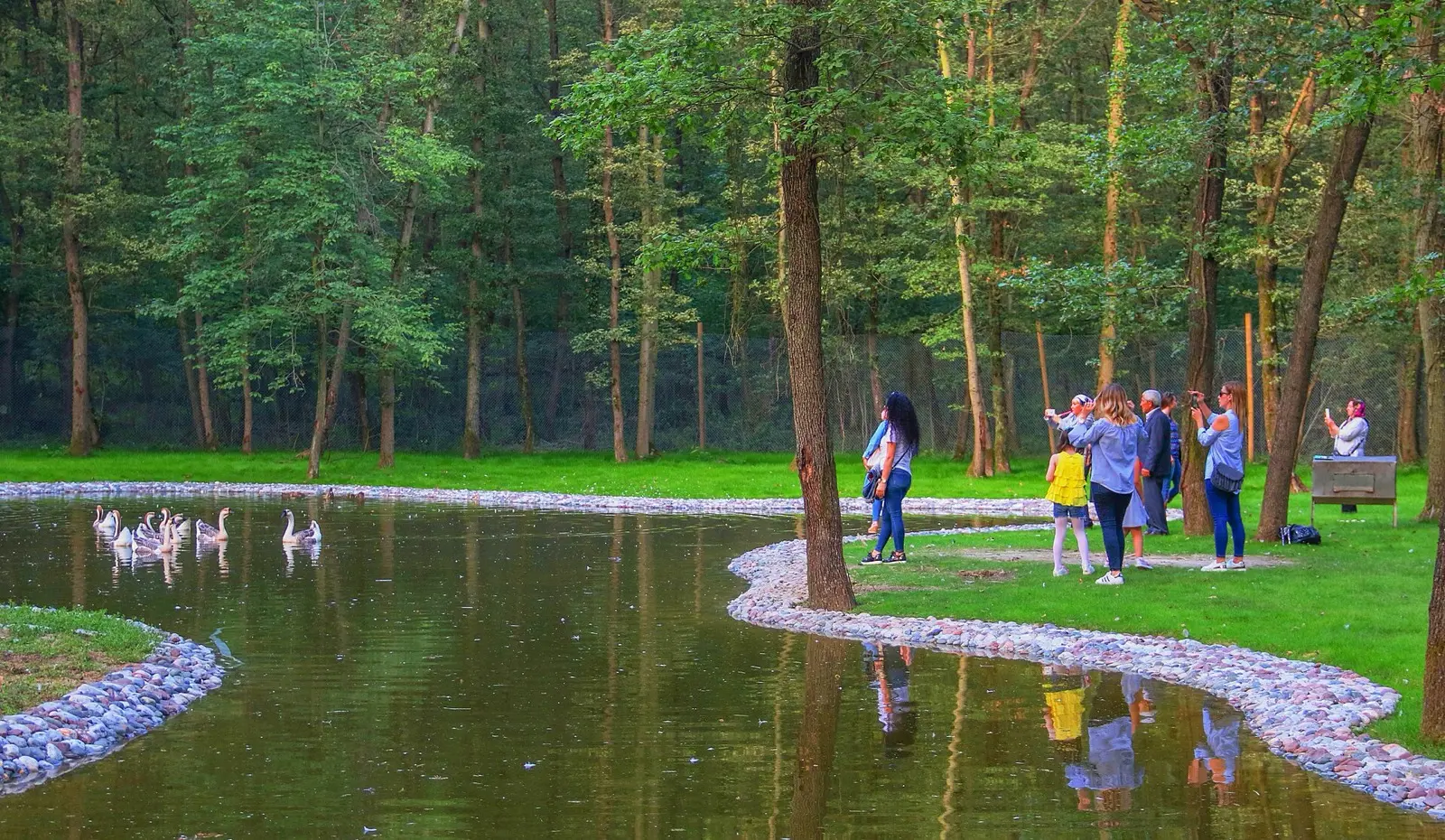 Ormanya doğal yaşam parkında geniş çitli yaşam alanları ve orman